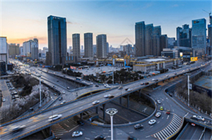 Unveiling Shanghai's backyard： Hidden green treasures in the city!